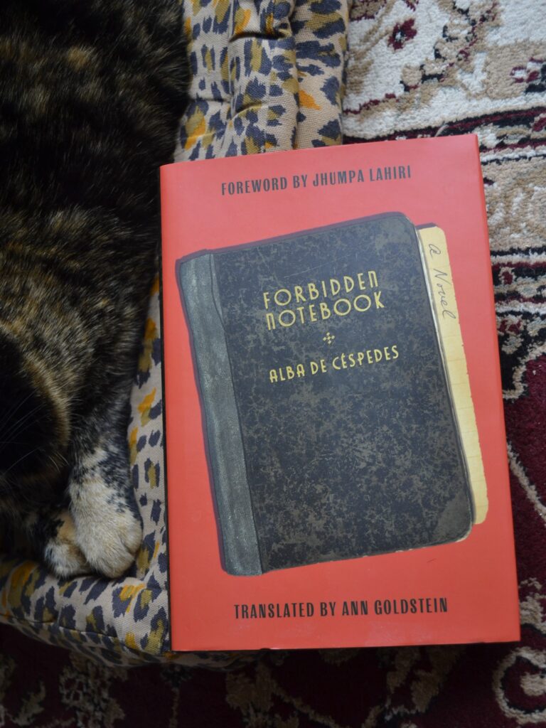 Forbidden Notebook by Alba De Céspedes is a red hardcover book with a picture of a black notebook on the cover.