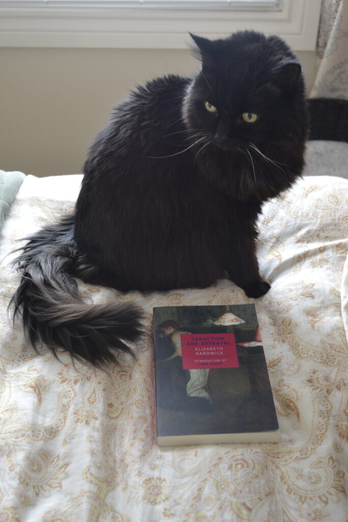 A black fluffy cat curls her tail towards a paperback book. She looks pointedly over her shoulder, her white whiskers standing out against her black coat.