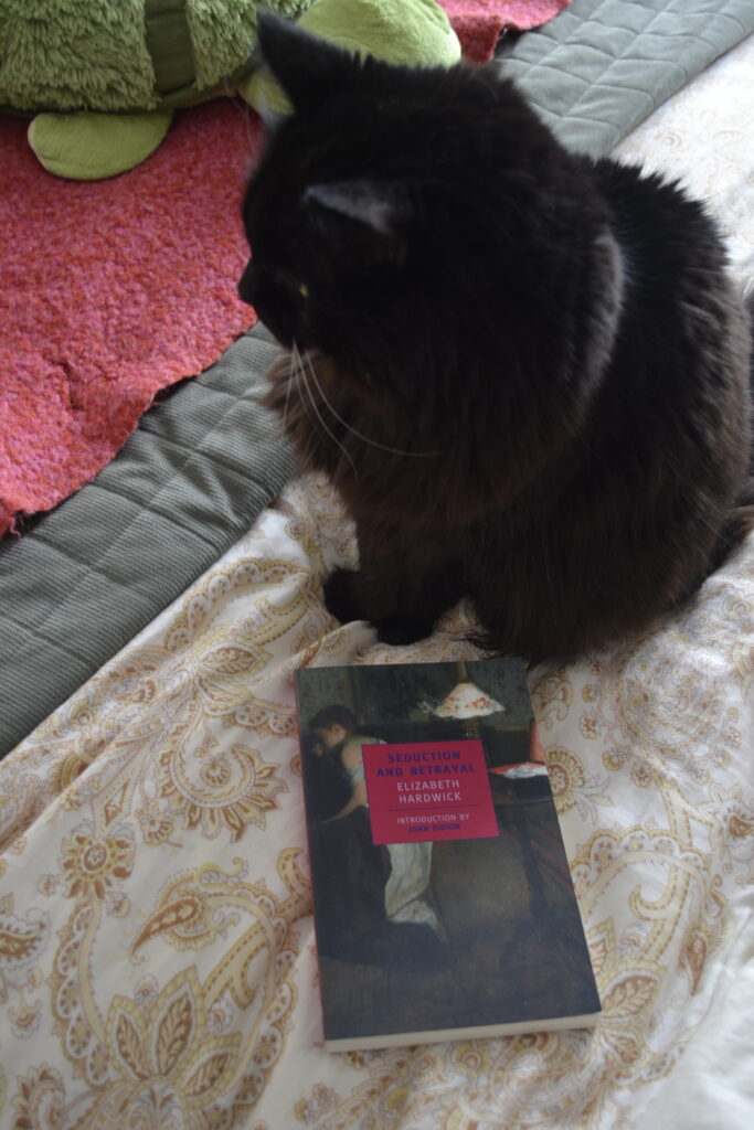 A black fluffy cats sits with dignity beside a paperback book by Elizabeth Hardwick.