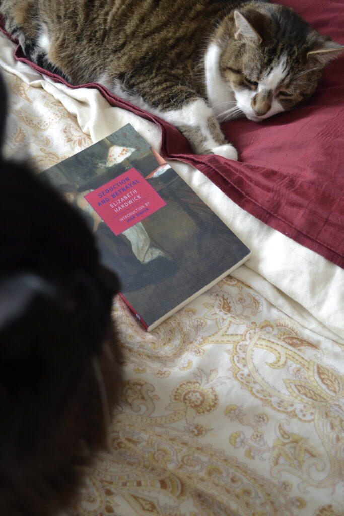 Two cats sit beside a small paperback: Seduction and Betrayal by Elizabeth Hardwick.