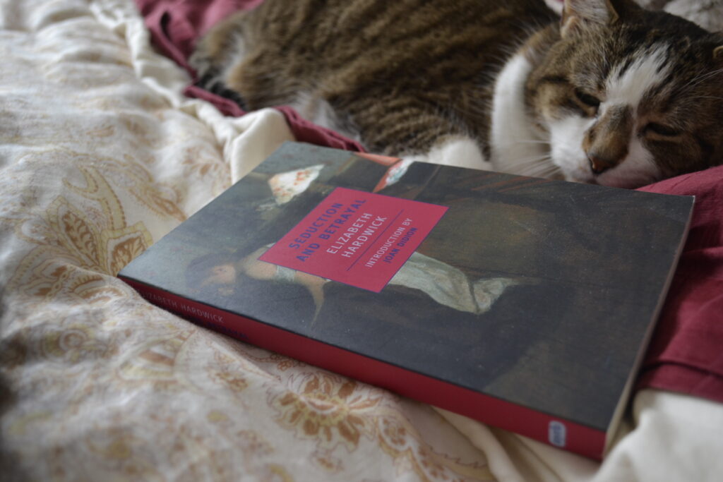 A sleepy tabby cat looks lazily at a paperback book with a pink spine and a pink square to display the title on it.