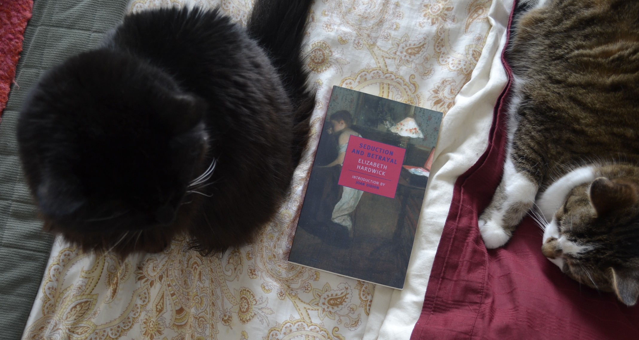 A tabby cat with a brown nose and a fluffy black cat sit on either sides of Elizabeth Hardwick's Seduction and Betrayal.