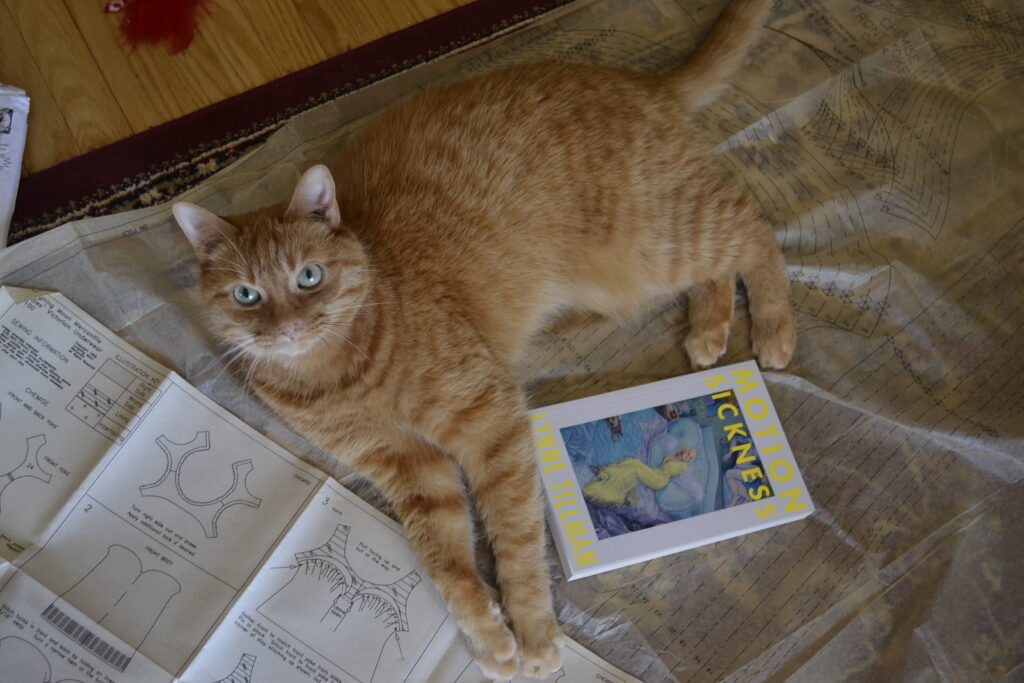 An orange tabby looks up with wide pale green eyes. She is lounging on a tissue sewing pattern with her paws curled around a paperback book.
