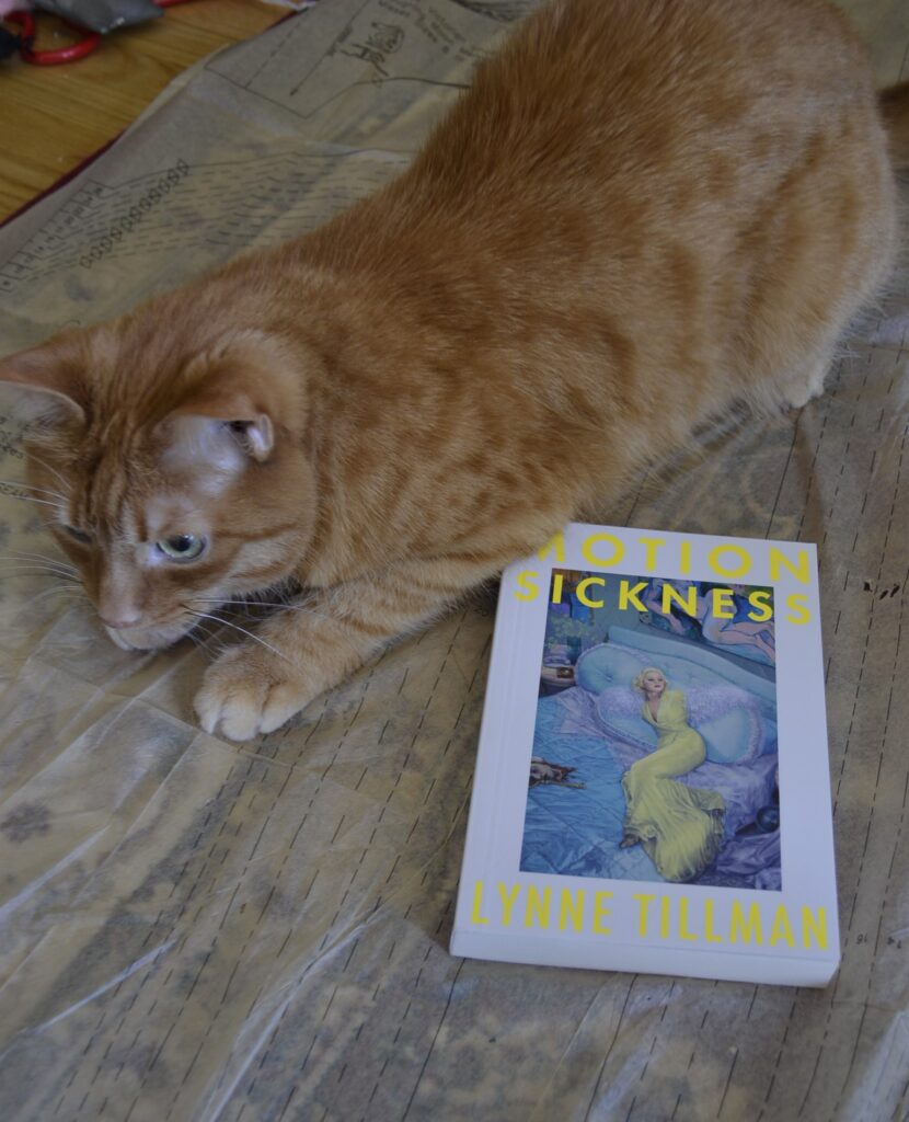 An orange tabby cat crouches on a sewing pattern beside a copy of Lynne Tillman's Motion Sickness.