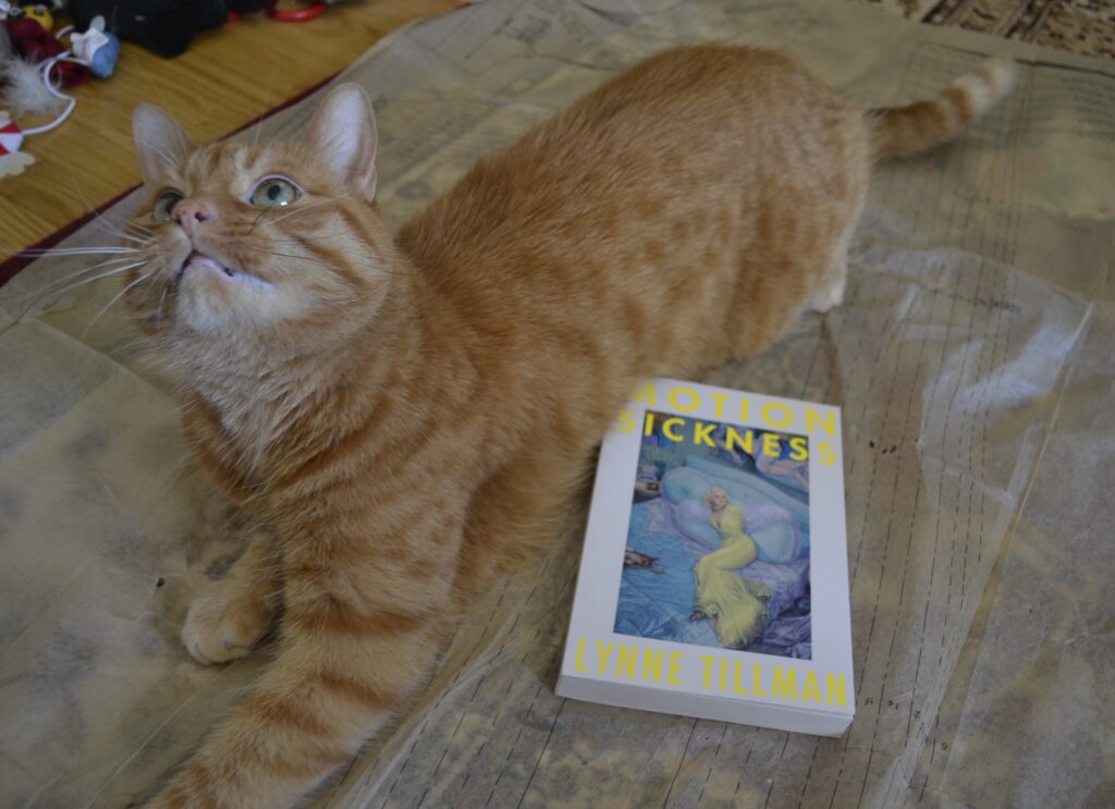 An orange tabby looks up while crouching on a sewing pattern next to a book by Lynne Tillman.