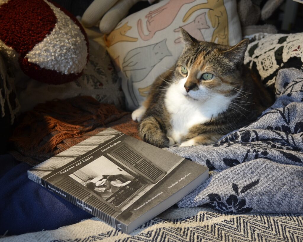 A calico tabby lounges in a yellow light beside Hervé Guibert's Suzanne and Louise.