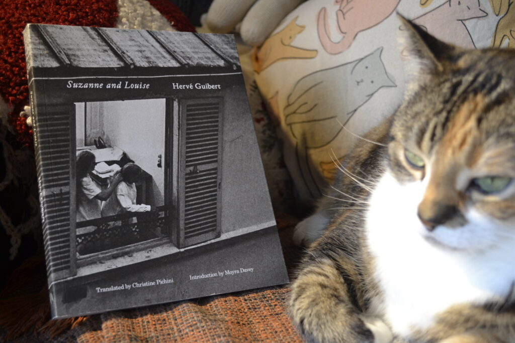 Suzanne and Louise by Hervé Guibert is a grayscale book with a picture of an aging woman braiding her sister's hair on the cover.