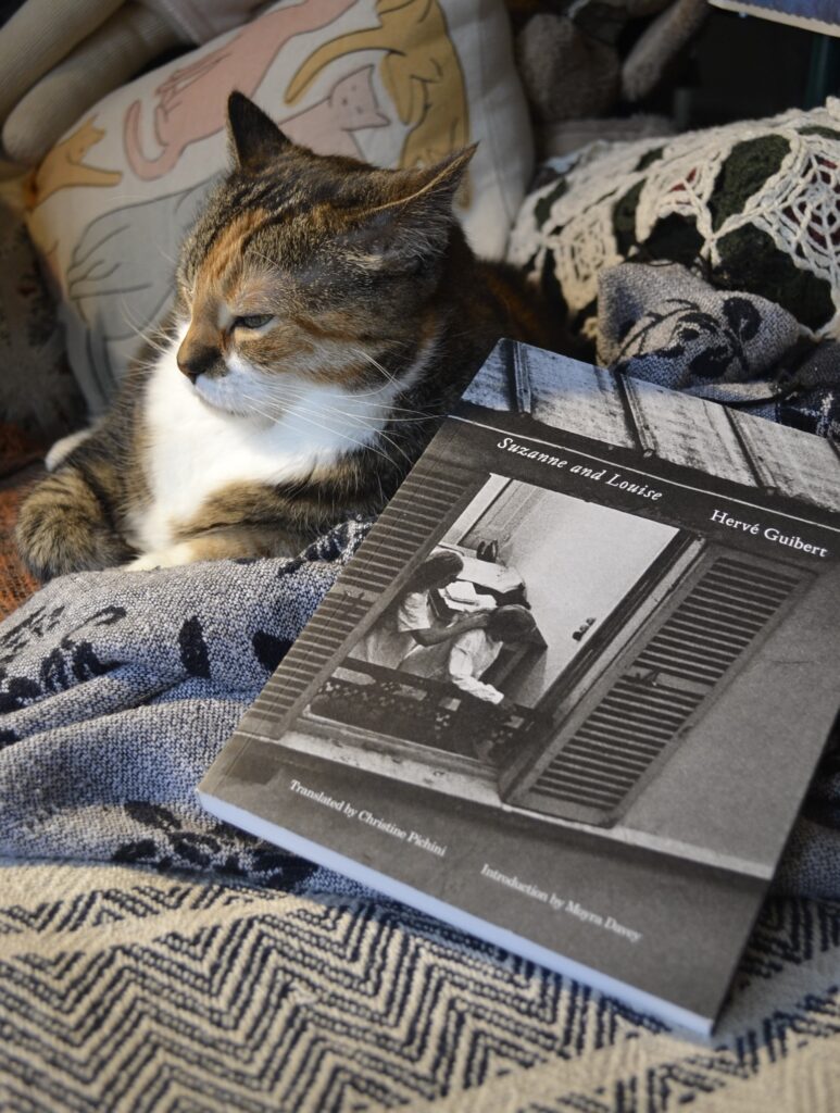 A calico tabby lounges in yellow light beside a grayscale book: Hervé Guibert's Suzanne and Louise.