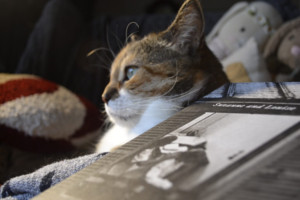 A calico tabby rests on an armchair beside a grayscale book.