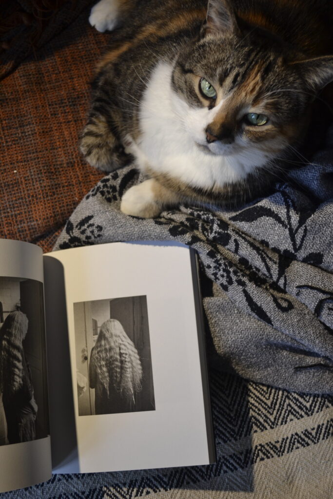 A calico tabby sits contentedly on a chair. An open book shows a picture of the back of a woman with long hair, waved from being braided.