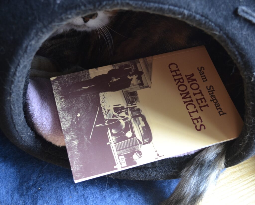 Inside a domed cat bed, a cat curls its tail around Sam Shepard's Motel Chronicles.
