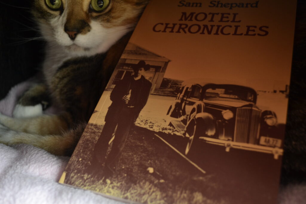Sam Shepard's Motel Chronicles is a yellow book with a tinted picture of a man in a cowboy hat standing beside on old-fashioned car.