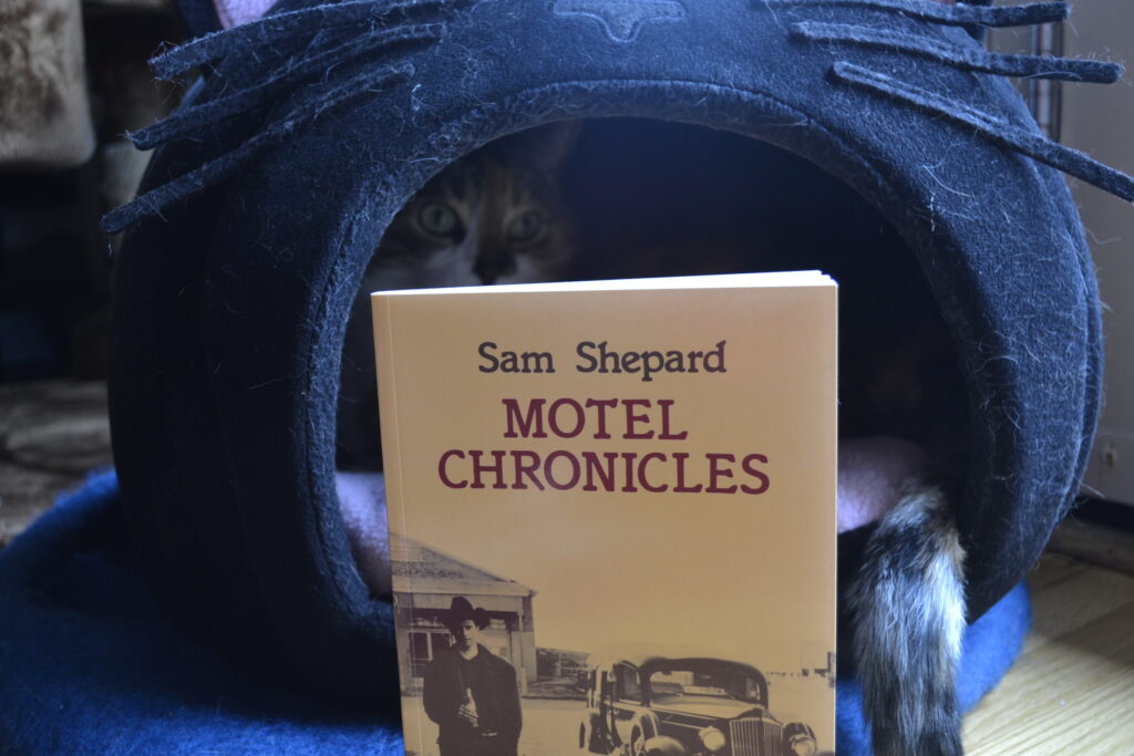 A calico tabby sleeps in a domed cat bed shaped like a cat's head. In front of the bed is a yellow book: Sam Shepard's Motel Chronicles.