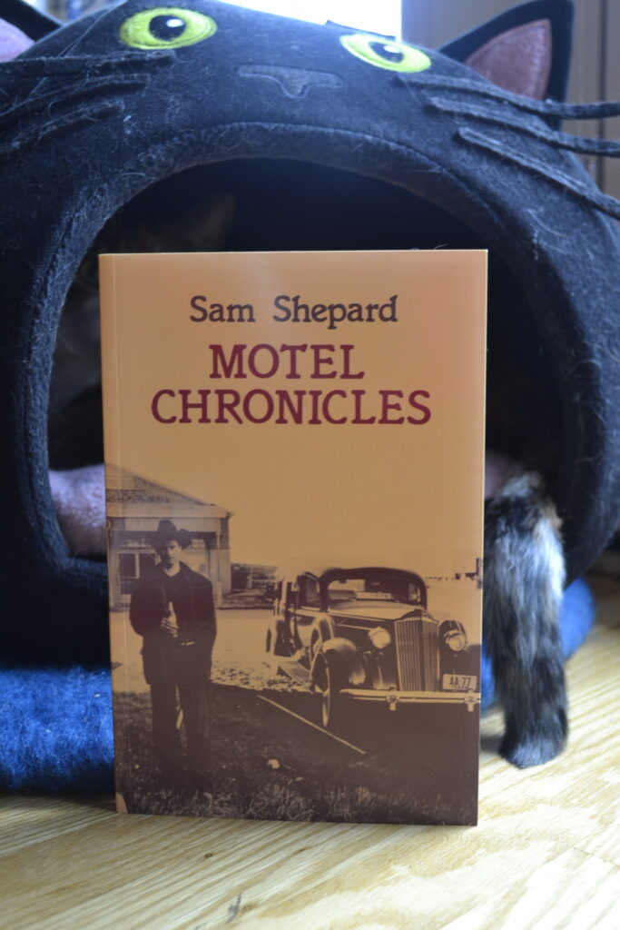 Motel Chronicles, a yellow book, sits in front of a domed cat bed that is shaped like a black cat's head.