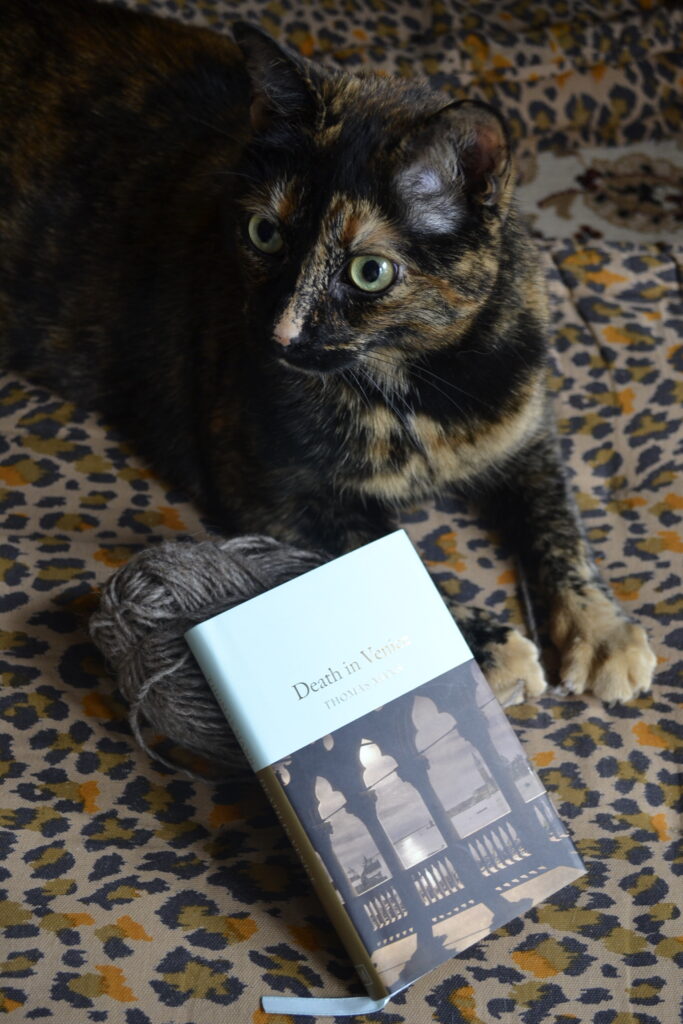 A tortoiseshell cats sits alert on a leopard-print cushion beside a copy of Death in Venice.