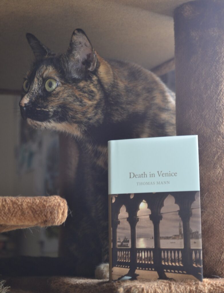 A tortoiseshell cat stands behind a copy of Death in Venice and looks to the side with her ears pointed.