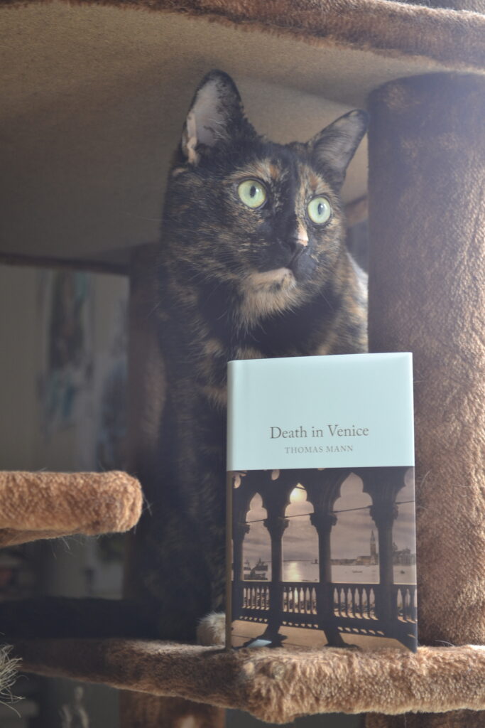A tortoiseshell cat peers over the top of a copy of Death in Venice.