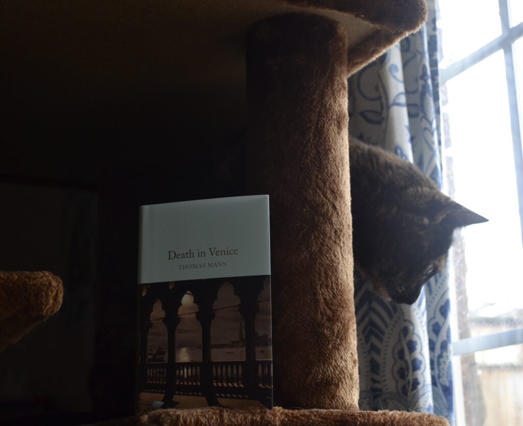 Death in Venice by Thomas Mann is a small hardcover book with a blue top, gilded pages, and a picture of a Venetian waterfront on the cover.