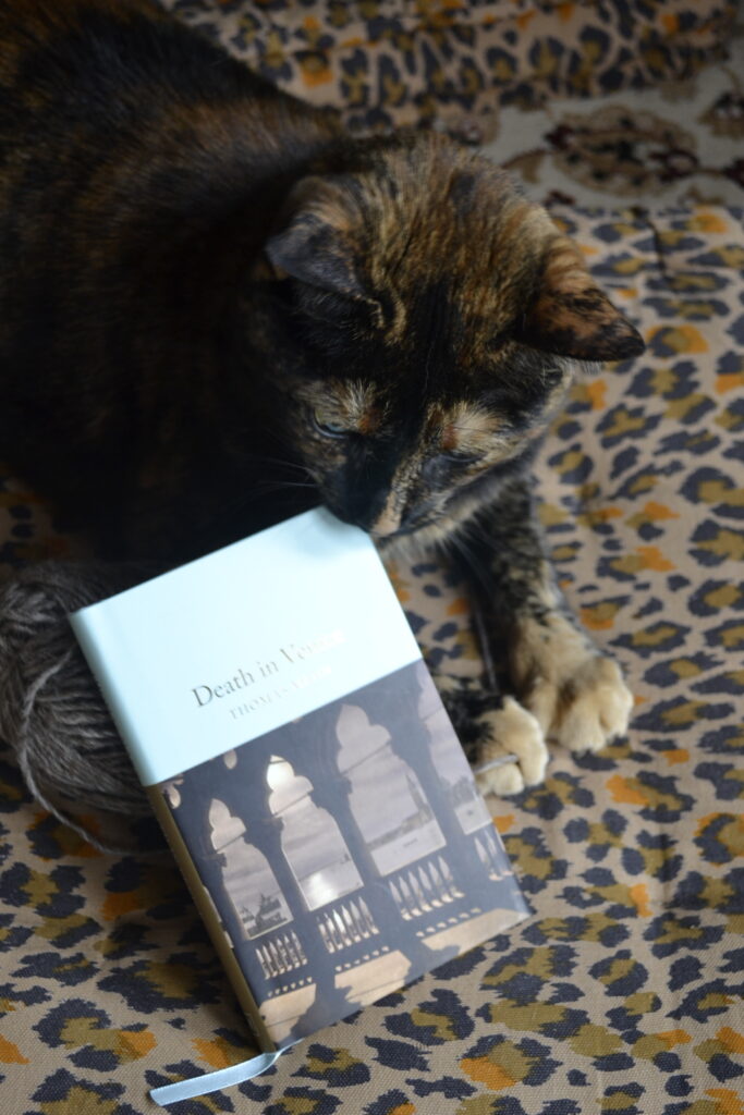 A tortoisehsell cat bites the edge of a small hardcover book.