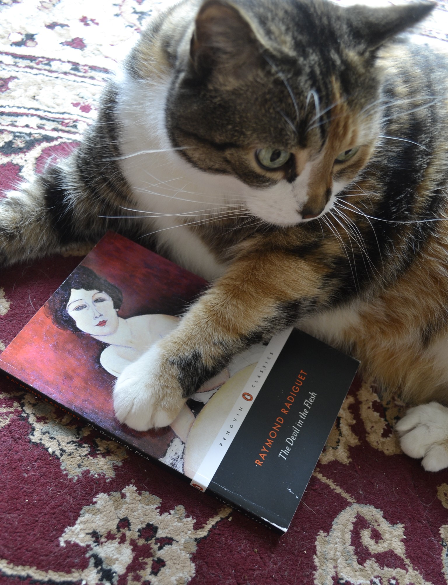 A calico tabby puts a paw over the breasts of the naked woman on the cover of The Devil in the Flesh.