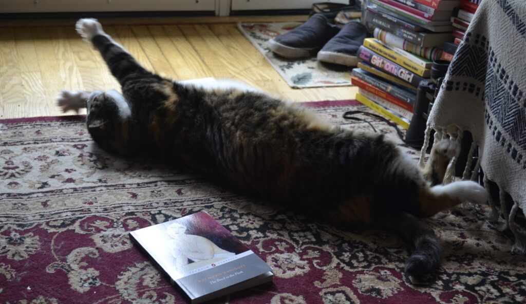 A calico tabby rolls on her back with both front legs stretch into the air, her toes spread wide.