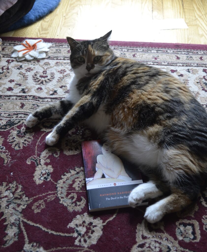 A calico looks perturbed as she rolls on a copy of Raymond Radiguet's The Devil in the Flesh.