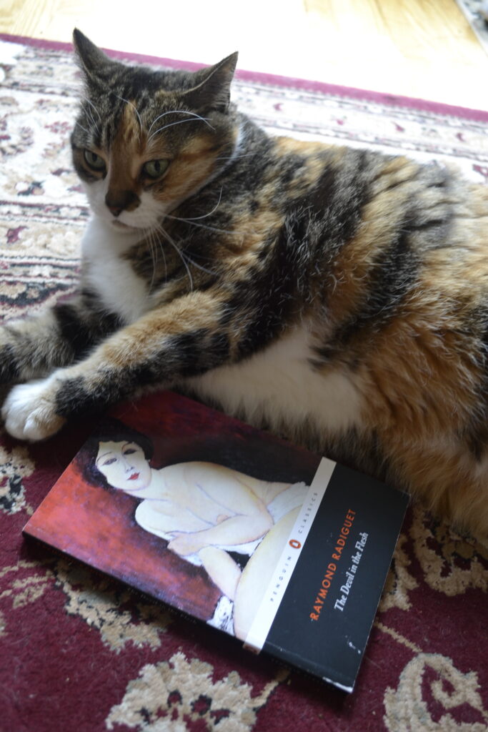 A calico tabby puts its ears back in annoyance as she lies on a rug. Beside her is a book with a drawing of a naked woman on the cover.