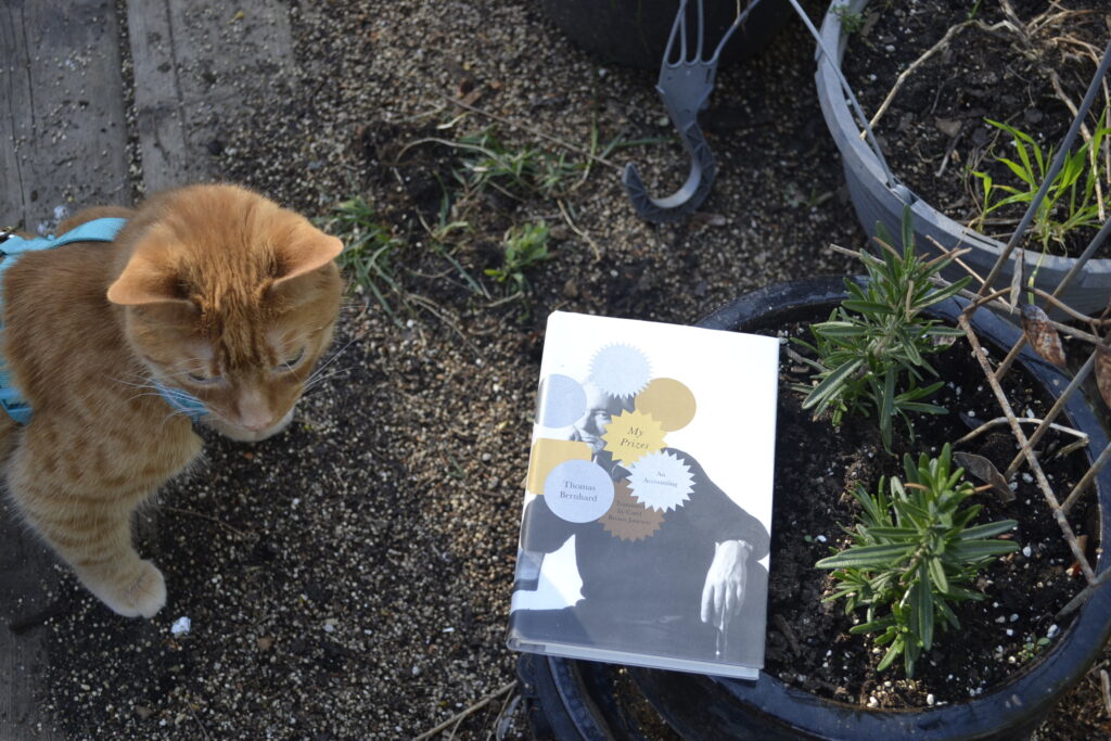 An orange tabby stands by a pot of rosemary. On the edge of the pot rests My Prizes by Thomas Bernhard.