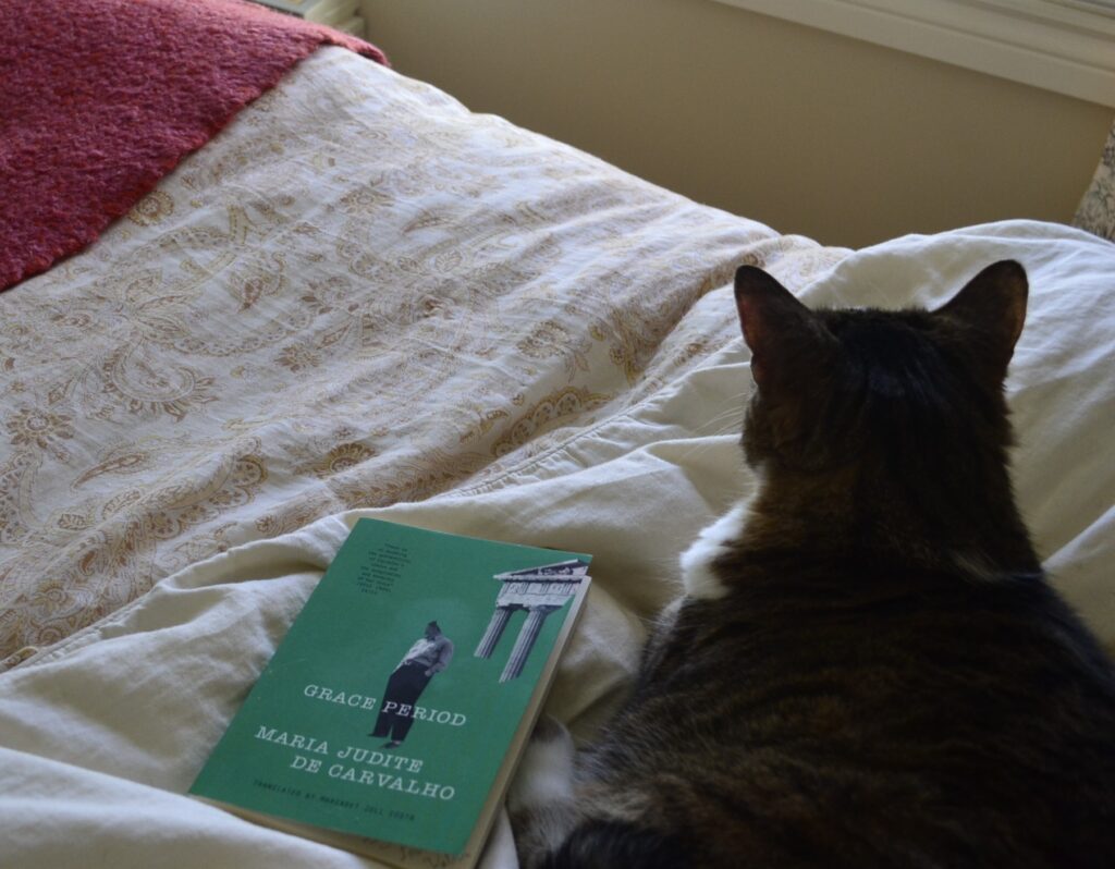 A tabby cat lies beside a green paperback book. The Book is Grace Period by Maria Judite de Carvalho.