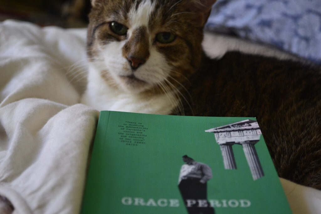 A tabby cat with green eyes and big ears looks sleepily over top of a paperback book.