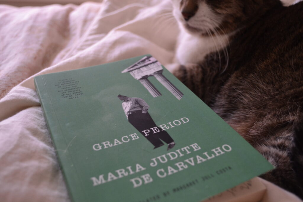 A tabby cat lies in a fluffy bed beside a copy of Grace Period by Maria Judite de Carvalho.