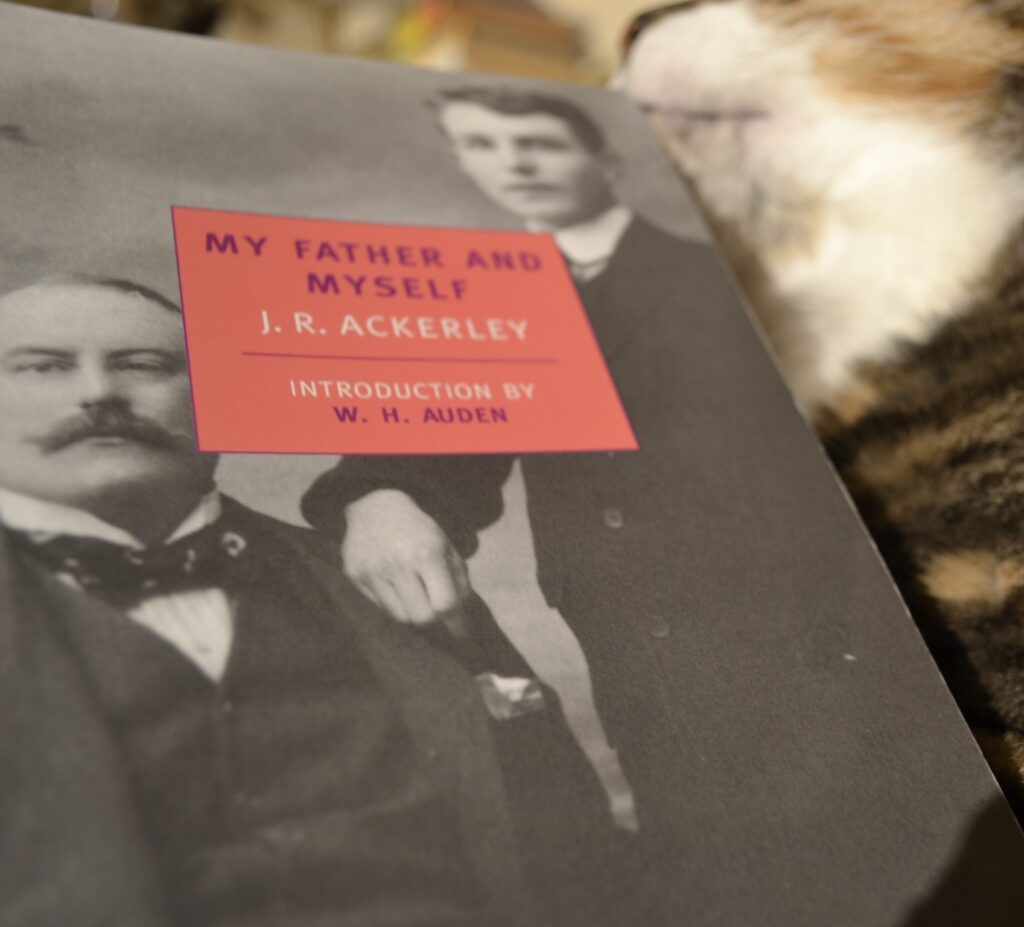 A calico tabby rests her chin on the corner of My Father and Myself by JR Ackerley.