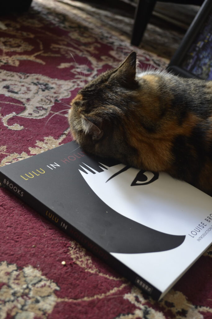 A calico tabby lies sleepily across a paperback book.