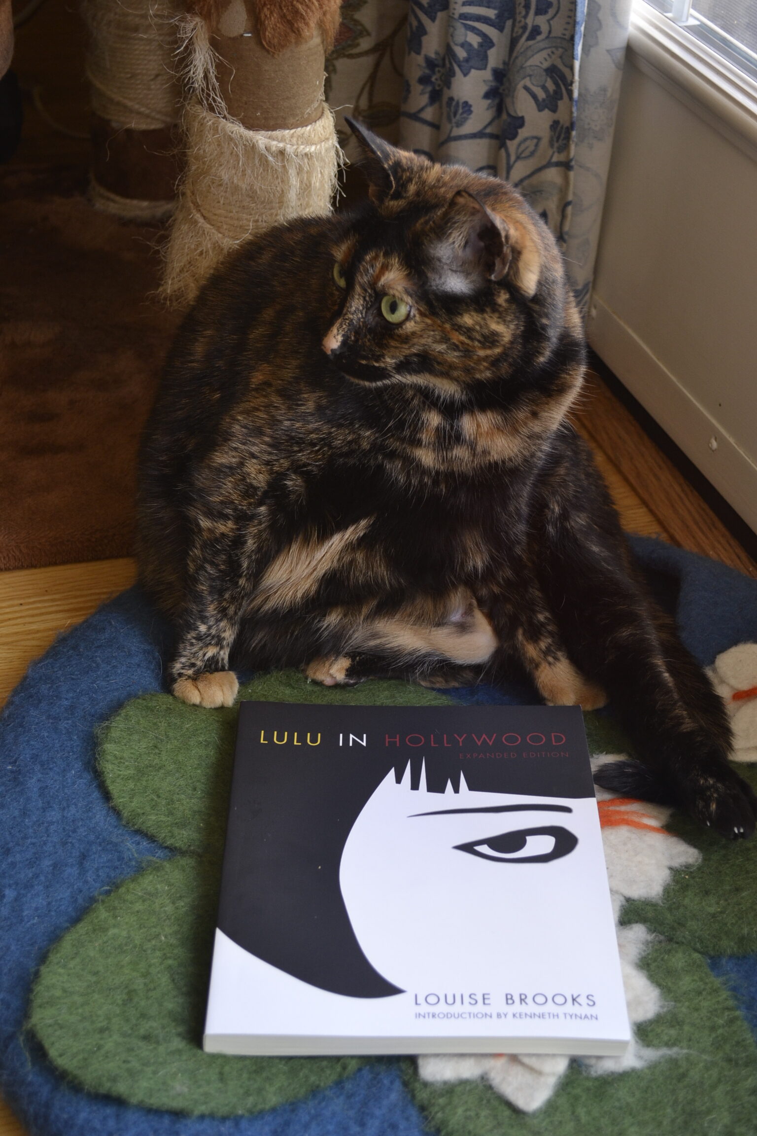 A tortoiseshell cat sits behind a paperback book. The book features a black-and-white drawing of a woman's face. The woman has bobbed hair, thin eyebrows, and heavy eyeliner.