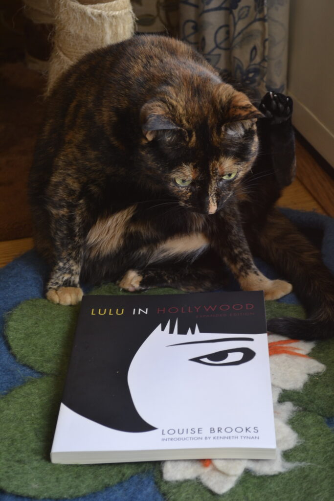 A tortoisehshell cat sits with one hind leg in the air, looking intensely at a square paperback book, Lulu in Hollywood.
