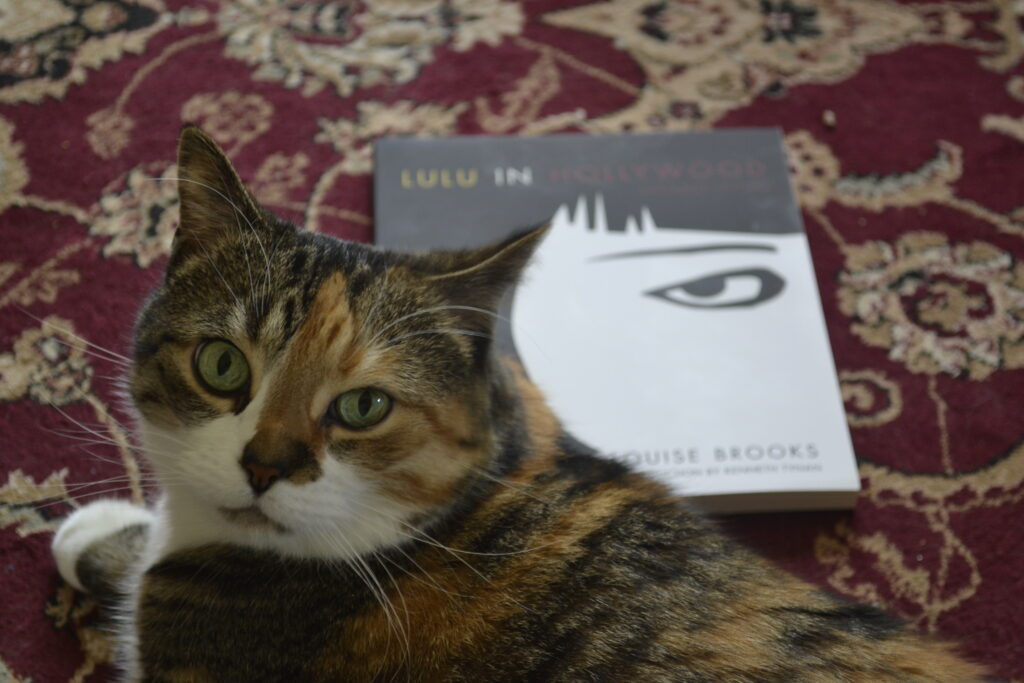 A calico tabby lies in front of a square book, Lulu in Hollywood by Louise Brooks.