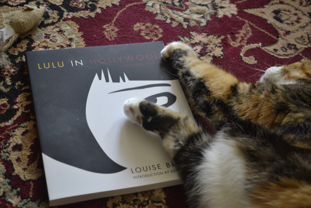 A calico tabby stretches her paws over a square paperback book.