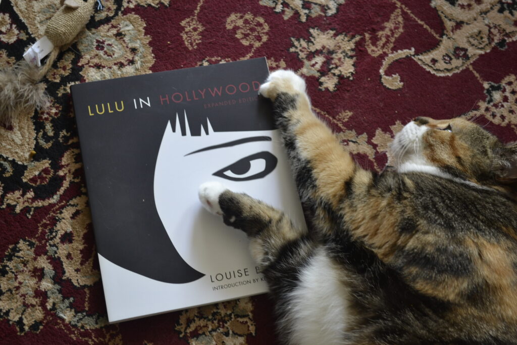 A calico tabby stretches her paws along one edge of Lulu in Hollywood by Louise Brooks.