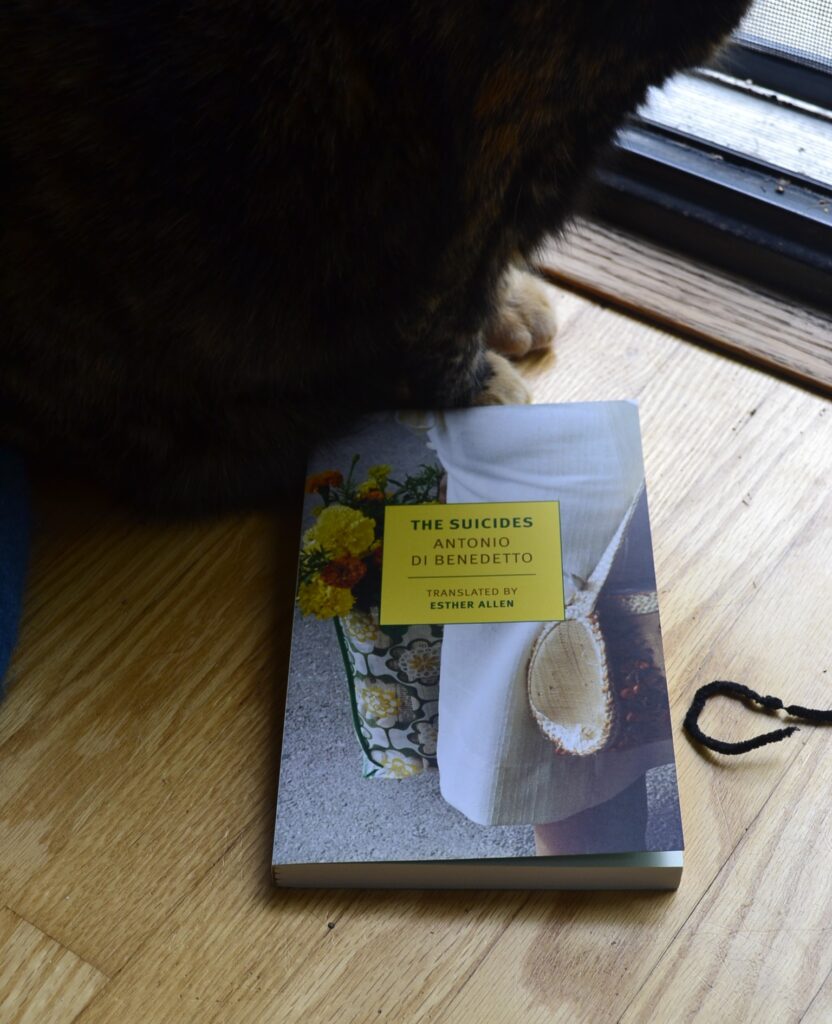 The Suicides by Antonio Di Benedetto is a softcover book with a picture of hand-sewn bags carrying flowers on the cover.