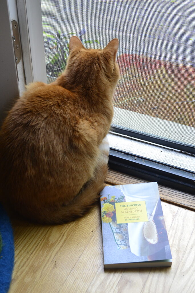An orange tabby cat sits beside a screen door and a copy of di Benedetto's The Suicides.
