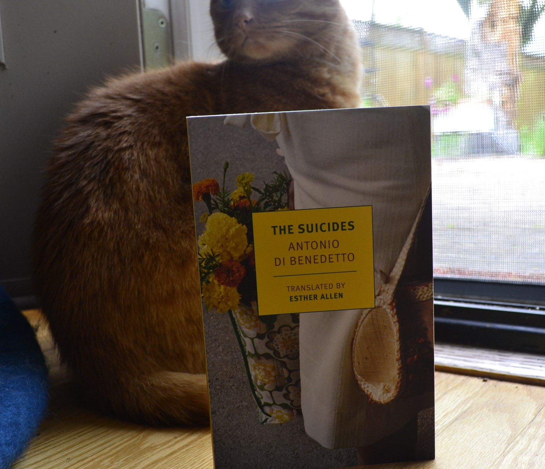 The Suicides by Antonio Di Benedetto is a paperback book with a pictures of rustic purses carrying flowers on the cover.