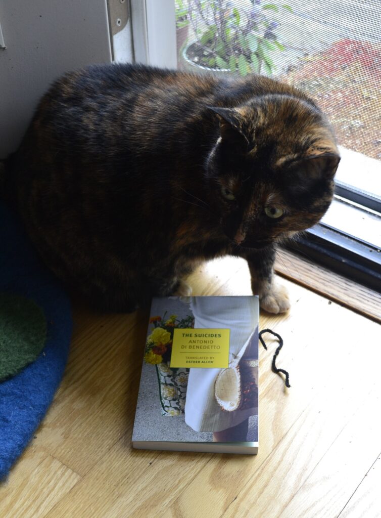 A tortoiseshell cat crouches with one paw on either side of a copy of The Suicides.