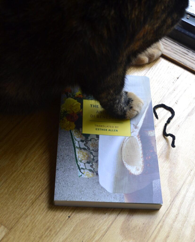 The orange paw of a tortoiseshell cat steps on a paperback book.