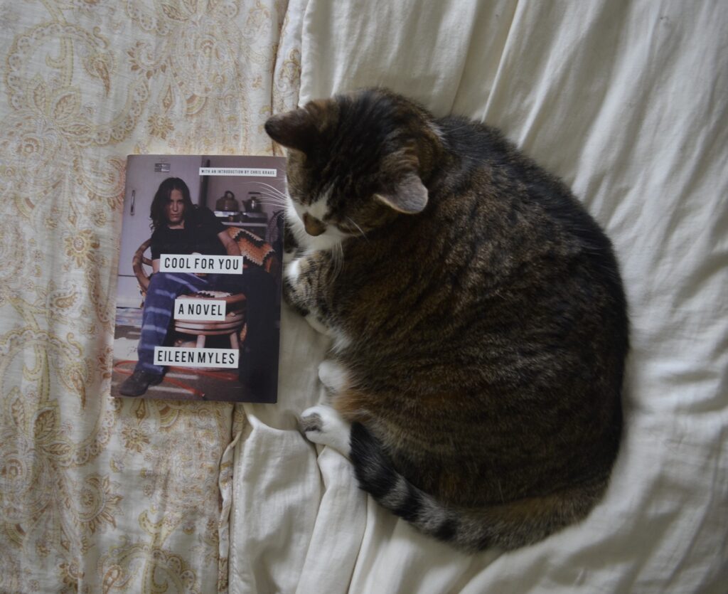 A tabby cat lies on a white blanket, curled towards a paperback book. The book is Cool For You by Eileen Myles.