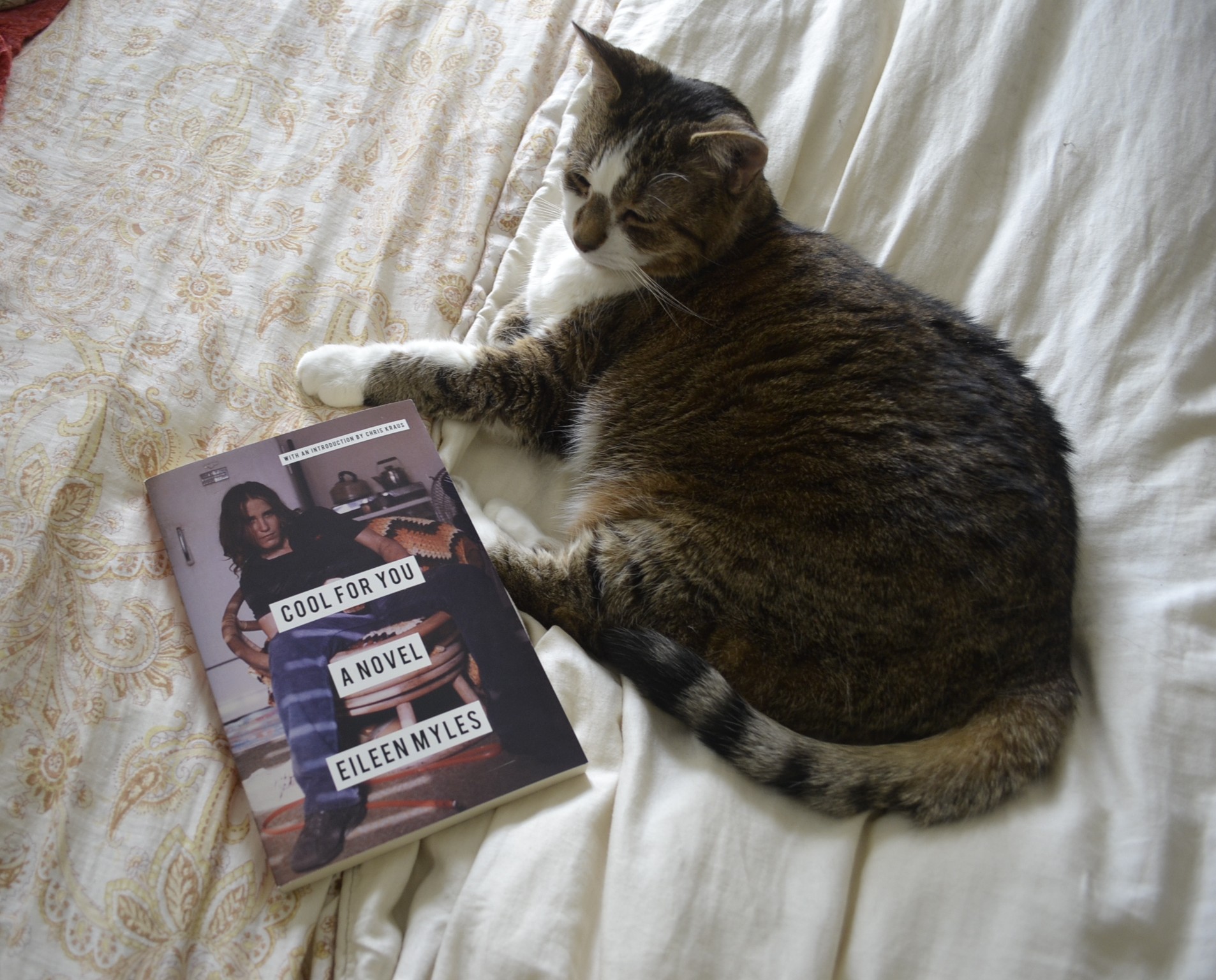 The cover of Cool For You by Eileen Myles features a young white woman in jeans and t-shirt sitting on a wicker chair, slouched to the side, legs spread, hair falling in her face.