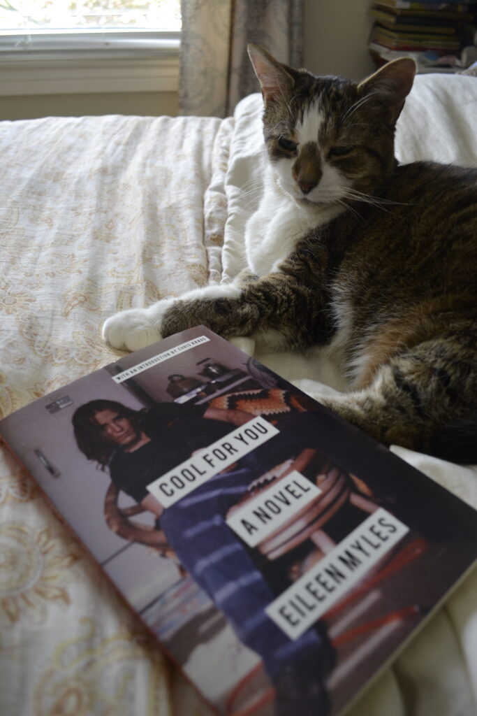 A tabby cat with big ears sits on a bed beside a copy of Eileen Myles' Cool For You.