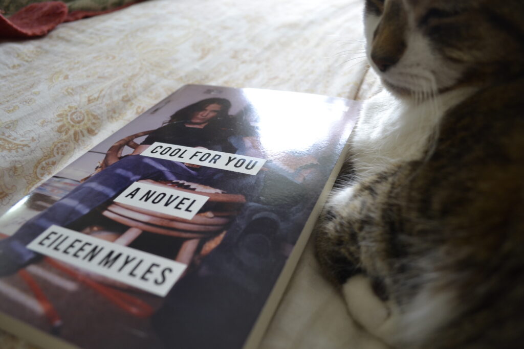A cat squints in the sunlight beside a copy of Cool For You.