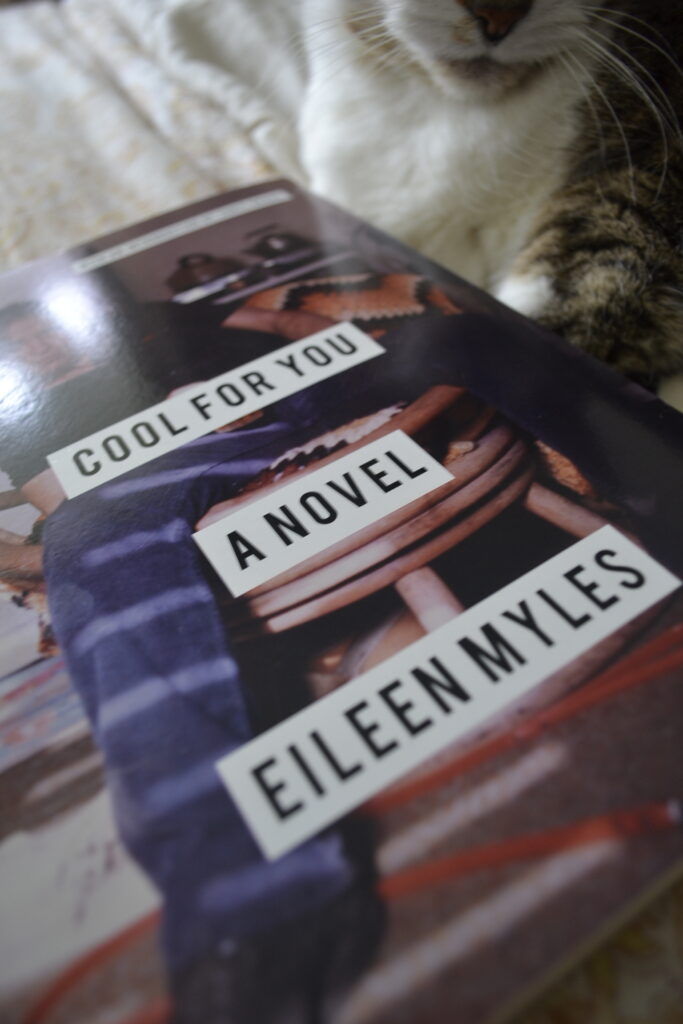 The sun shines across the cover of Cool For You. A tabby cat with a white chin and brown nose sits just off-camera.