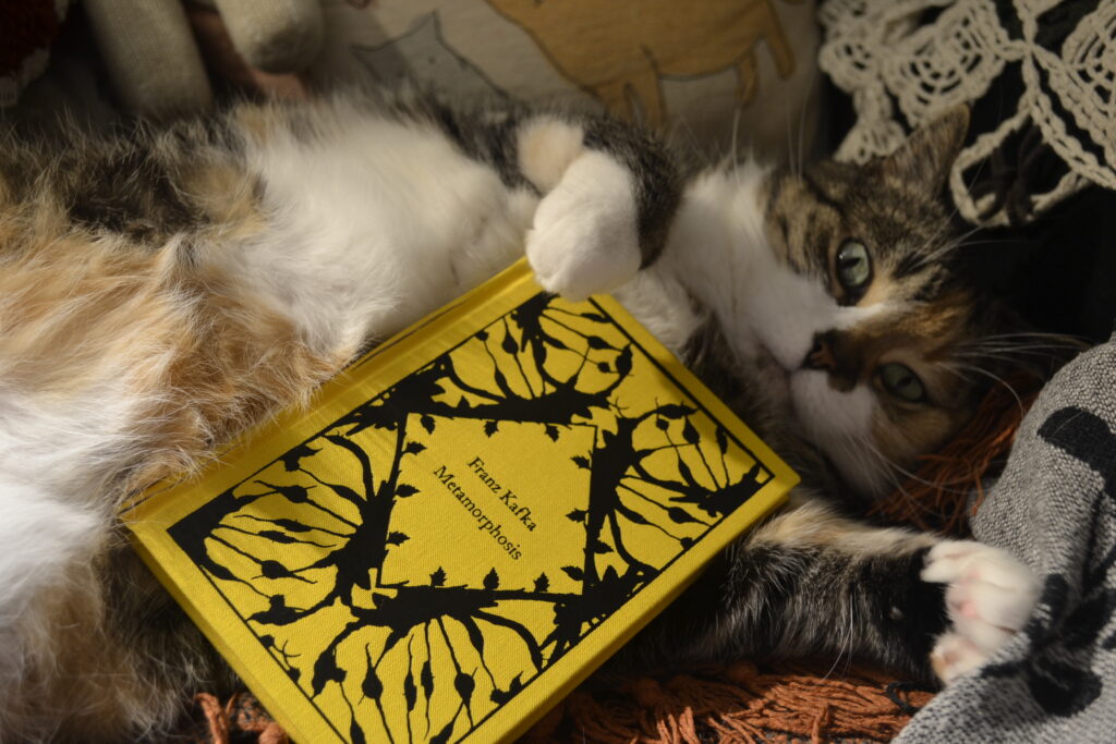 A calico tabby curls her paws around a bright yellow and black copy of The Metamorphosis.