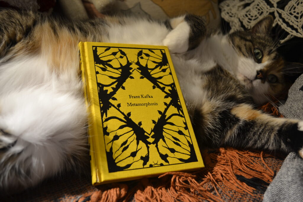 A hardcover version of The Metamorphosis features a symmetrical in-style pattern in black on a bright yellow clothbound cover.